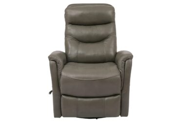 Gemini Leather Ice Recliner