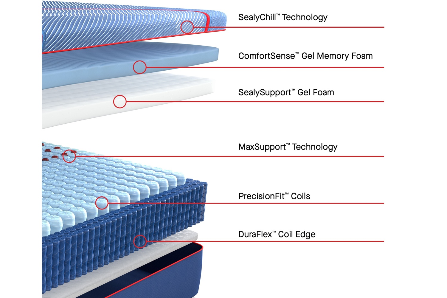 EXILE　フリスビー　USA 12pol_2881527_1.jpg?v=